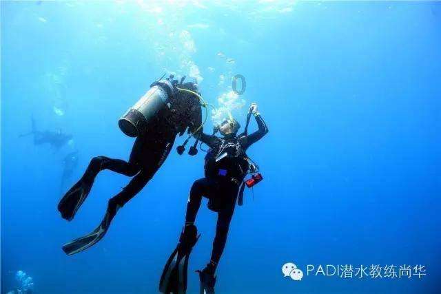 寻找游泳套件